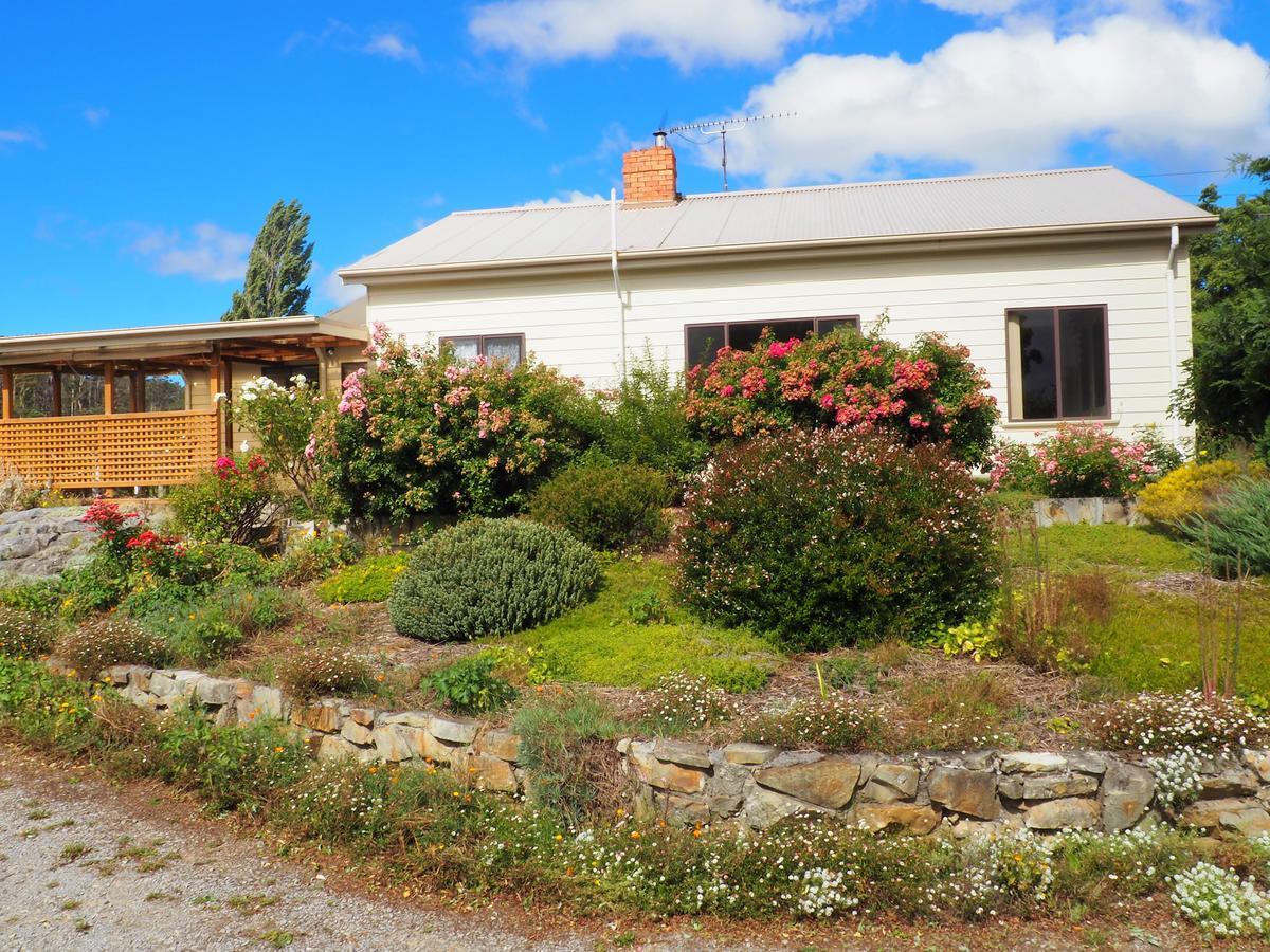 Mole Creek Guesthouse エクステリア 写真