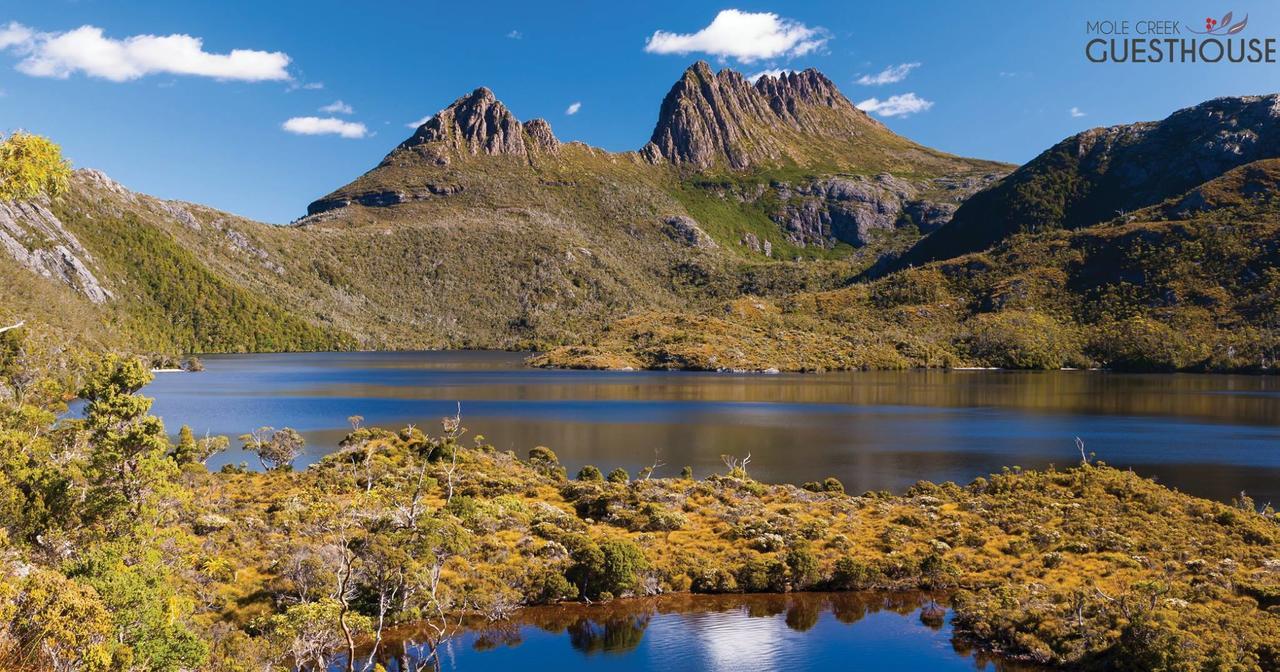 Mole Creek Guesthouse エクステリア 写真